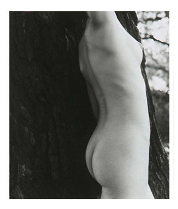 Wendy BW Trees 2